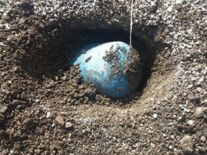 ’Barış isteyen’ PKK’nın bombaları bitmek bilmiyor