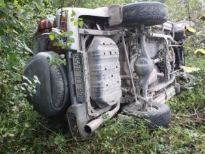 Arabaya giren arıyı kovmak isterken uçuruma yuvarlandı