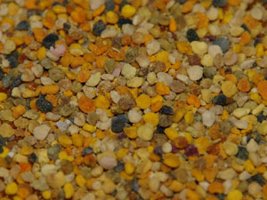 Anzer polenleri satışa sunuldu!