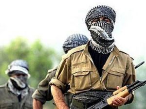 Şırnak’ta 2 terörist teslim oldu