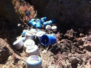 Sandıkta ’barış’, kırsalda bomba