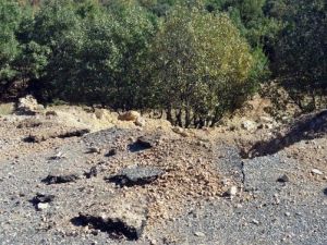 Teröristler tuzakladı, asker imha etti