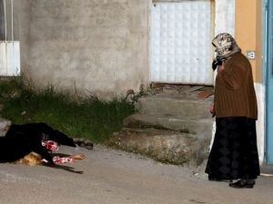 Gözlerine inanamadı ! Sokak ortasında sır ölüm