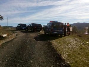 Mantar toplamaya çıkmışlardı ama...