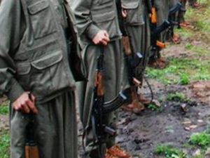 Yüksekova’da 2 terörist öldürüldü