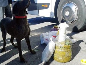 Uyuşturucu sevkiyatını ’Vicdan’ durdurdu !