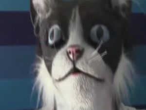 Kediler dev bir kedi görürse ne olur?