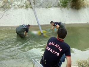 Cesedi 10 gün sonra bulundu!