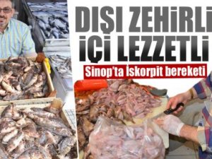 Sinopda iskorpit davası