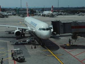 Ordu uçağının kanadına martı girince...