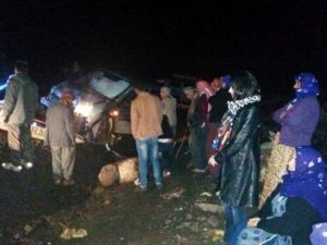 Sürüye daldı: 25 koyun telef oldu