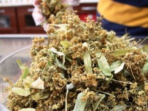 Fiyatı çeyrek altını geçti