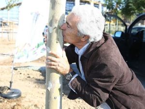 Ünlü orkestra şefi ağacı öperek dikti