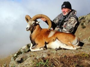 Bir koyun avlamak için 90 bin lira ödedi