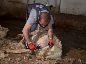 Bu eğitim Türkiye’de ilk kez verilecek