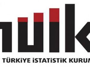 TÜİK açıkladı ! Türkiye’de sayısı 392’ye ulaştı