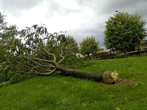 Trabzon'da fırtına hasara neden oldu!
