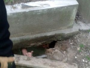 Altın diş çalmak için girdiği mezarda mahsur kaldı