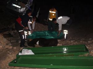 Hastaneden dönüyorlardı: 3 ölü, 2 yaralı