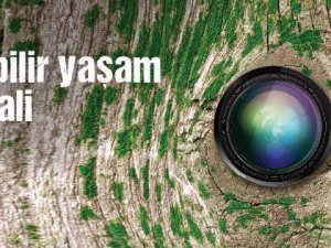 20 ille birlikte 20-21-22 Kasım'da Trabzon’da!