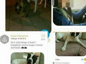 Hayvanseverleri ayağa kaldırdı