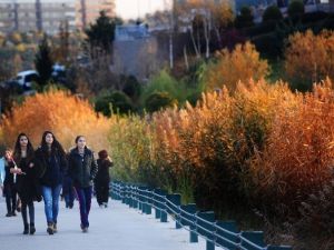 Ankara’ya öyle yakışırdı ki güz...