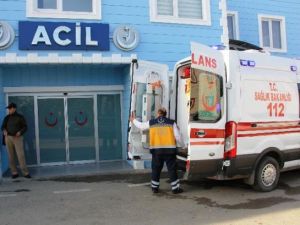 Ölü arkadaşlarıyla koyda mahsur kaldılar