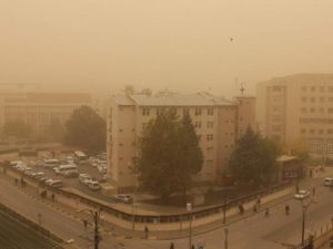 Tüm şehir sarıya boyandı