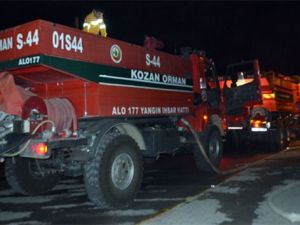 Osmaniye’de orman yangını!