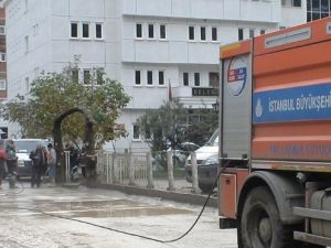 Felaketin yaraları sarılıyor