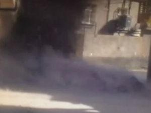 Ölüm tuzakları işte böyle imha ediliyor