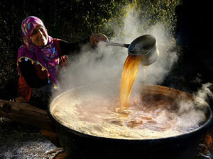 157 kişi 544 fotoğrafla Gümüşhane'yi anlattı!