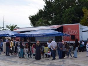 Bir TIR dolusu sinema