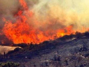 Kastamonu'da orman yangını