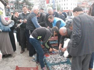 2 ton hamsi dua karşılığında dağıtıldı