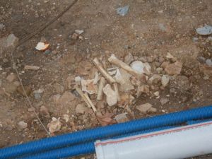 Taksim’deki çalışmalarda kemik ve kafatası bulundu