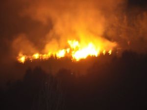 Ormanlık alan alev alev yandı