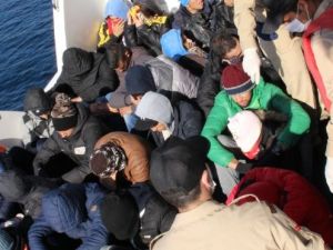 75 kaçak göçmen yakalandı