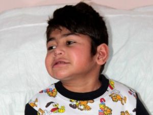 Vicdansızlık ! Ellerini ayaklarını bağlayıp ölüme terk ettiler