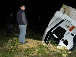 Köpeğin hayatı için canını hiçe saydı