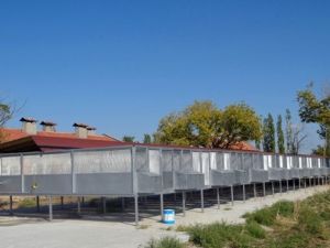 Türkiye’nin en büyük keklik üretme merkezi