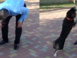 Köpek, belediye başkanına böyle saldırdı