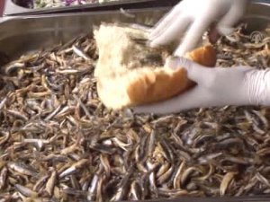 İyidere'de 2.5 ton hamsi 1 saatte tükendi