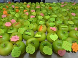 Bitlis Eren Üniversitesi’nden Elma Dağıtımı