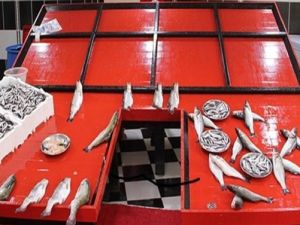 Fırtına balık tezgahlarını vurdu