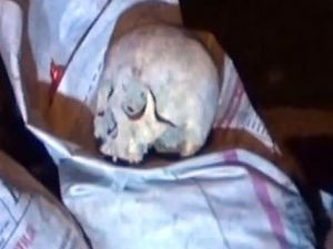 Çöplükten öyle bir şey çıktı ki!