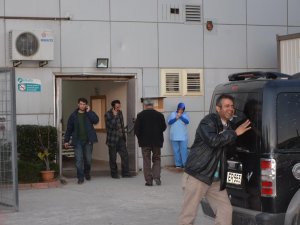 Üzerine ağaç düşen çocuk öldü!