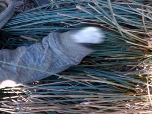 Aylan Kurdi’yi hatırlattı !