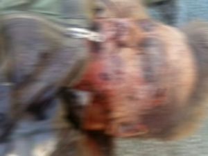 Rus pilotlardan birinin öldüğü ileri sürüldü