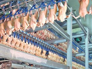 Rusya'dan Türkiye'ye ilk yaptırım!